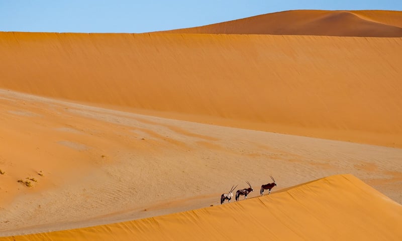 Sossusvlei Desert Lodge Namibia